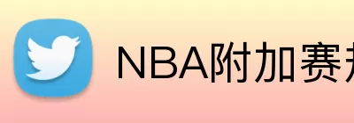 NBA附加赛规则 logo